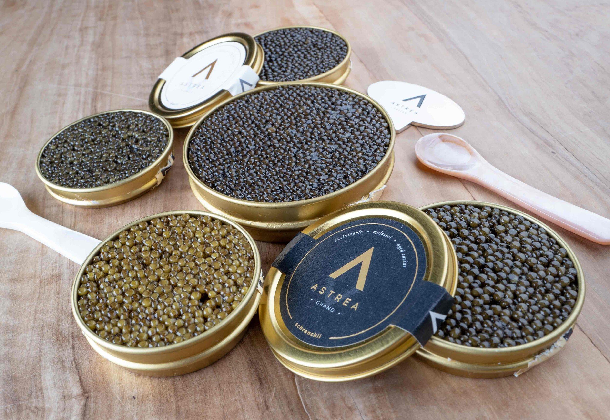 golden astrea caviar