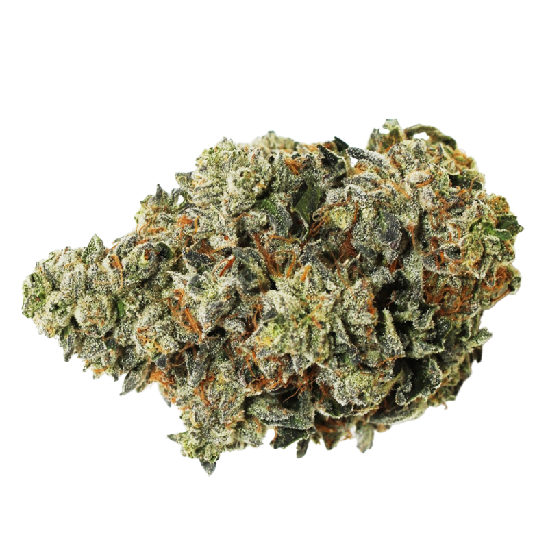 apple cobbler strain